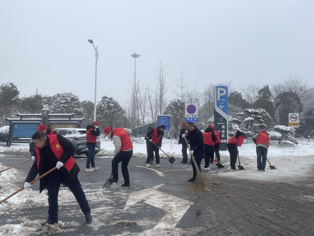 华信商贸集团党支部 | 开展下沉春运一线场所除雪、送温暖志愿者活动