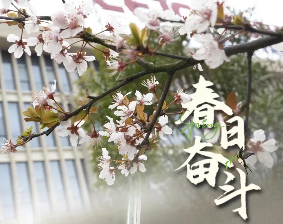 恰是一年好春光 拼搏奋斗正当时