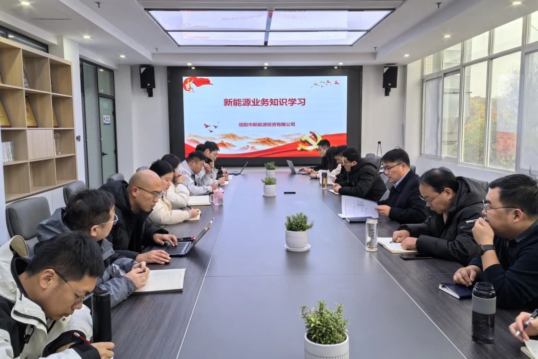 新能源公司开展关于新能源产业及“源网荷储”一体化项目情况的学习