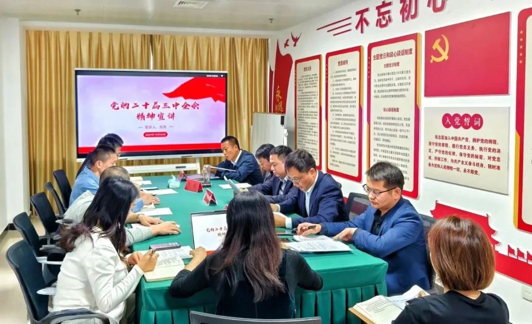 机场投资公司党支部宣传贯彻党的二十届三中全会精神