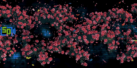 揭秘石代科技5D全息作品《花的轮回》(图1)