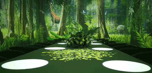 揭秘石代科技5D全息作品 - 热带雨林(图1)
