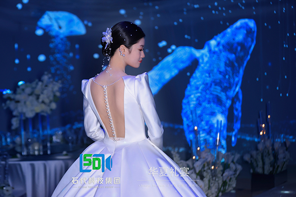 石代科技&华夏礼宴 | 联合演绎“星辰大海”主题婚礼秀首次璀璨登场(图3)