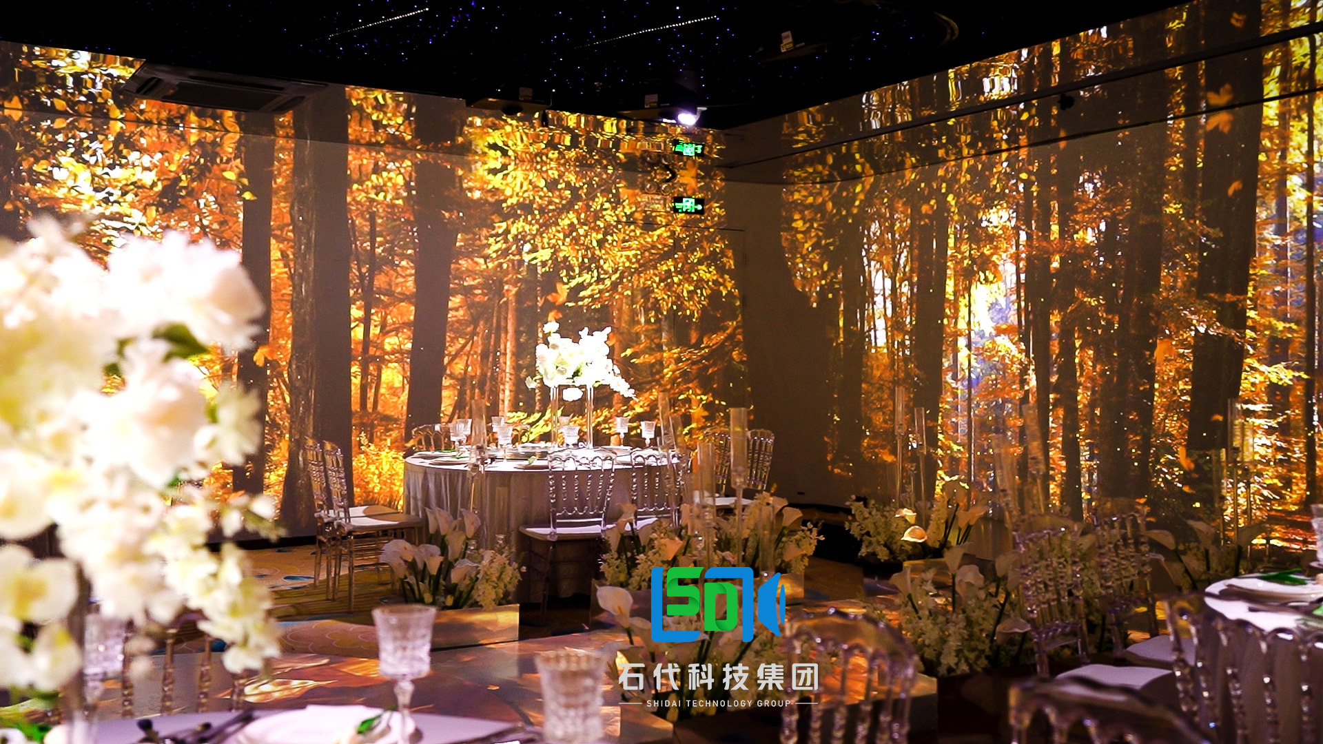 秋分至，秋意浓|石代科技5D光影宴会厅推出原创新片《秋韵》(图1)